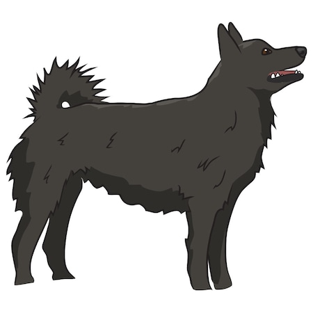 Signmission Schipperke Dog Decal, Dog Lover Decor Vinyl Sticker D-12-Schipperke